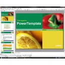 ซีดี 002 Template PowerPoint
