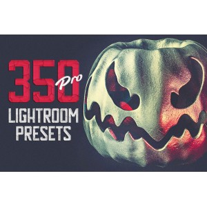 ซีดี 350 pro Lightroom presets