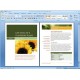 ซีดี 500 Powerpoint template