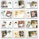 ซีดี Album PSD Wedding Collection